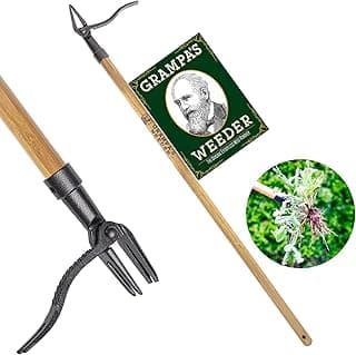 Grampa's Weeder - The Original Stand Up Weed Puller Tool with Long Handle - Made with Real Bamboo & 4-Claw Steel Head Design - Easily...